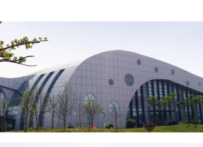 瑞安会议中心外景网架工程